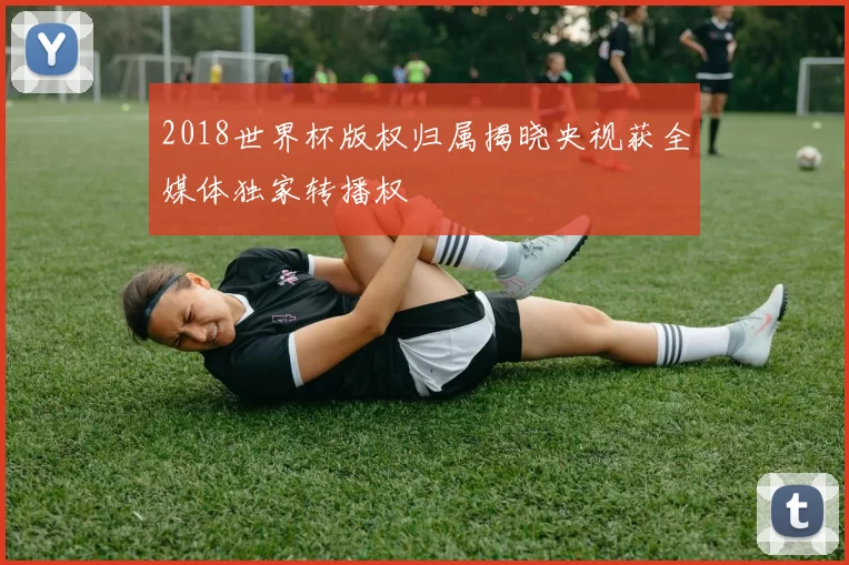 2018世界杯版权归属揭晓央视获全媒体独家转播权