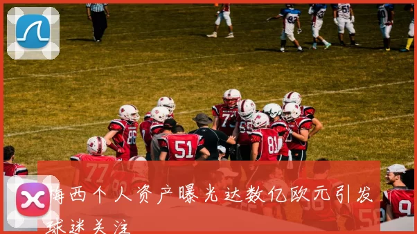 梅西个人资产曝光达数亿欧元引发球迷关注
