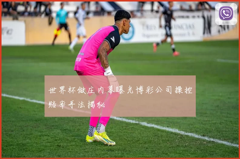 世界杯做庄内幕曝光博彩公司操控赔率手法揭秘